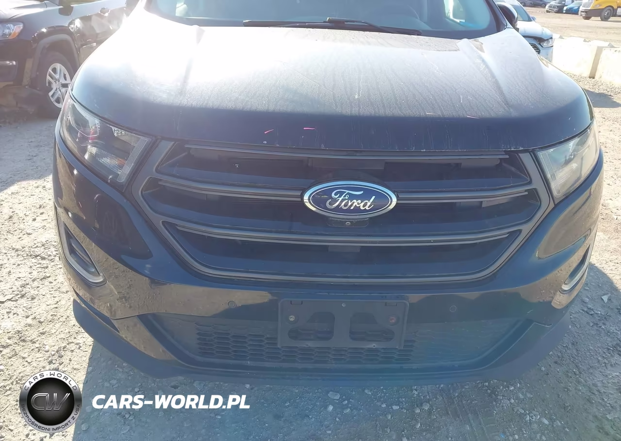 2016 Ford Edge Sport VIN:2FMPK4APXGBC09973 - 6