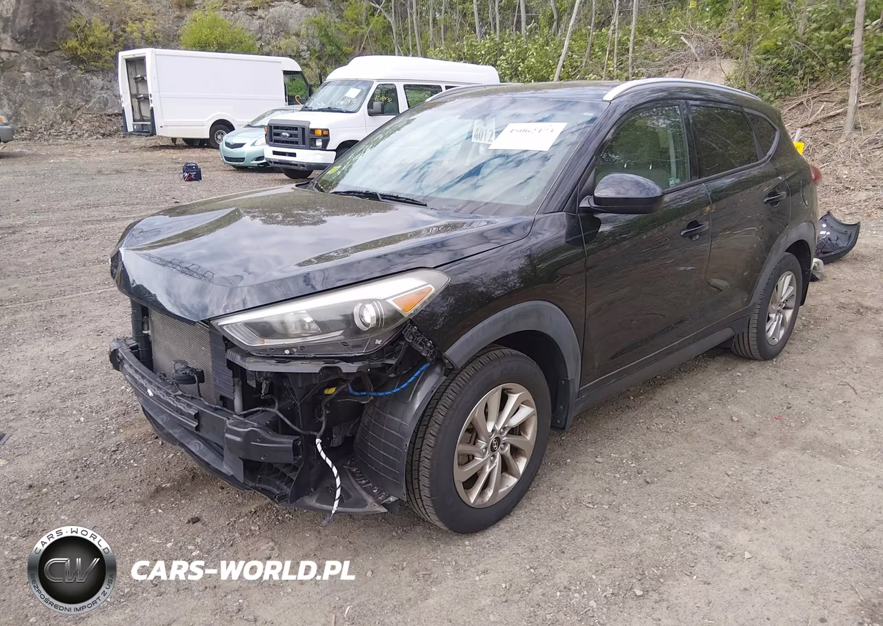 2016 Hyundai Tucson Se VIN:KM8J33A40GU235396 - 2