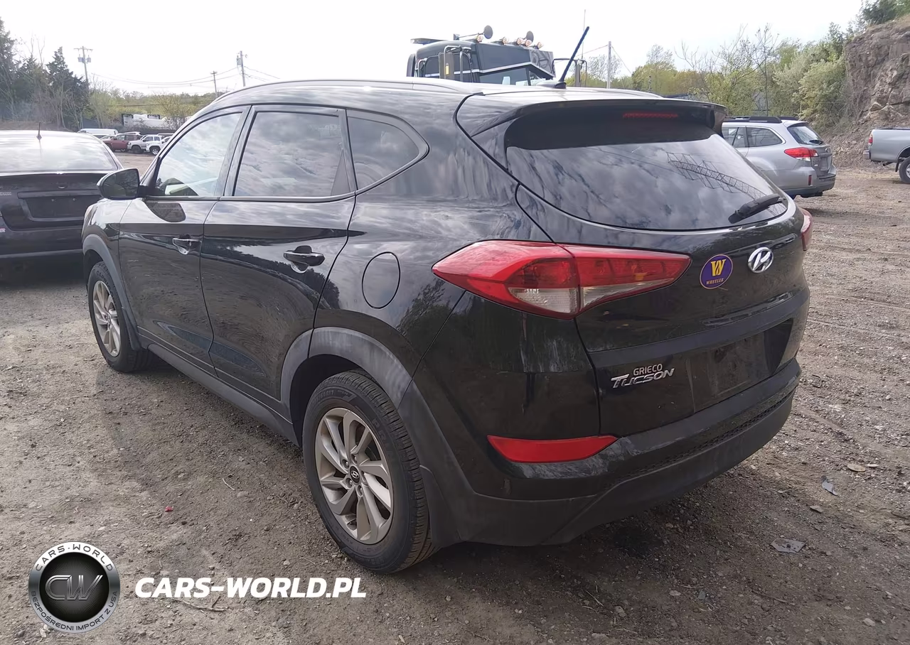 2016 Hyundai Tucson Se VIN:KM8J33A40GU235396 - 3