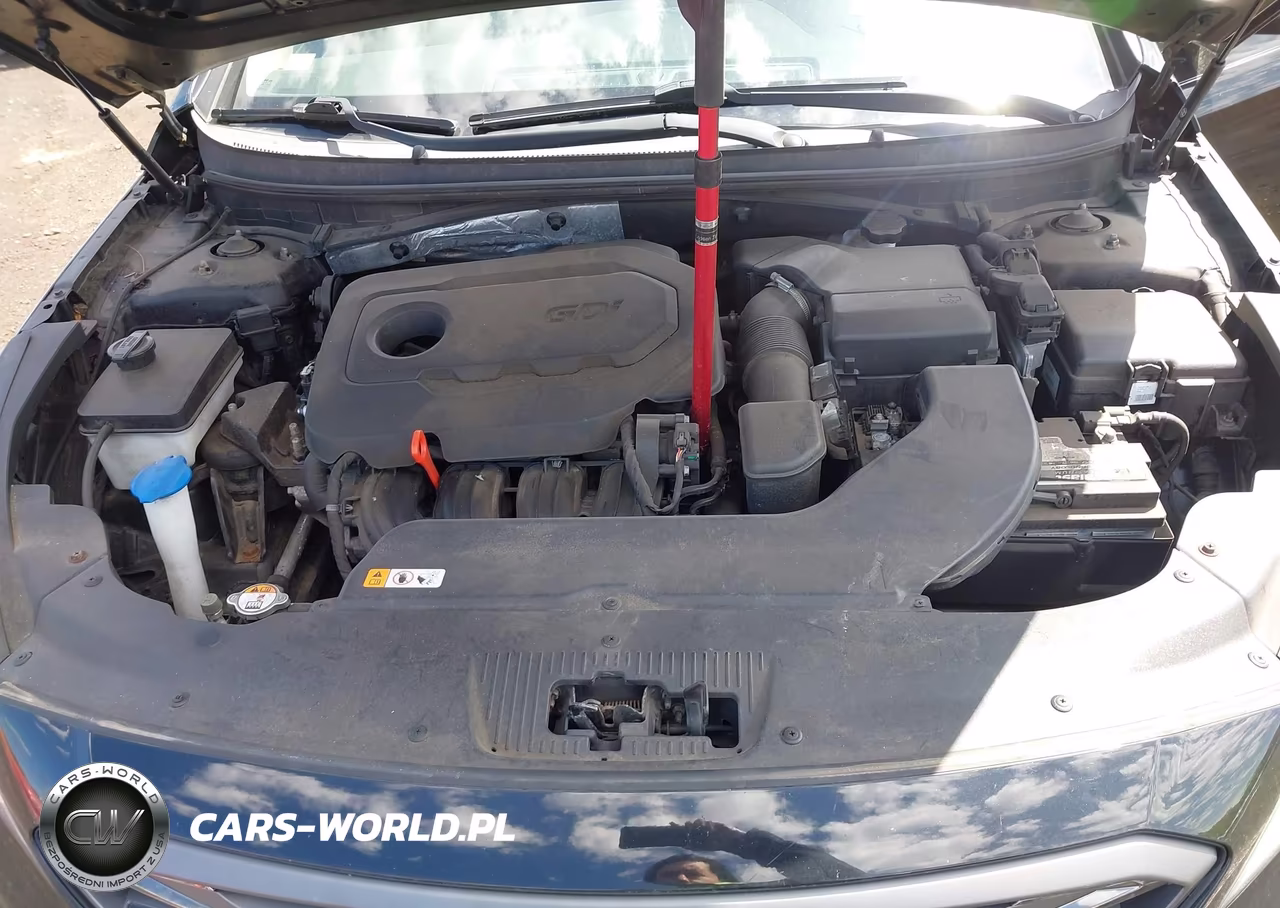 2015 Hyundai Sonata Sport VIN:5NPE34AF8FH082210 - 10