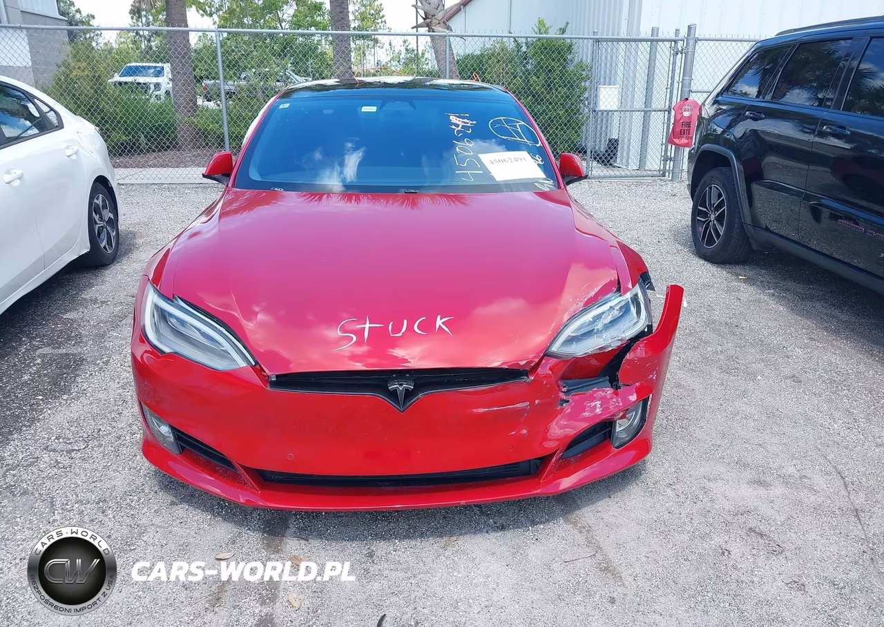 2019 Tesla Model S 100D-75D-Long Range-Standard Range VIN:5YJSA1E29KF303899 - 12