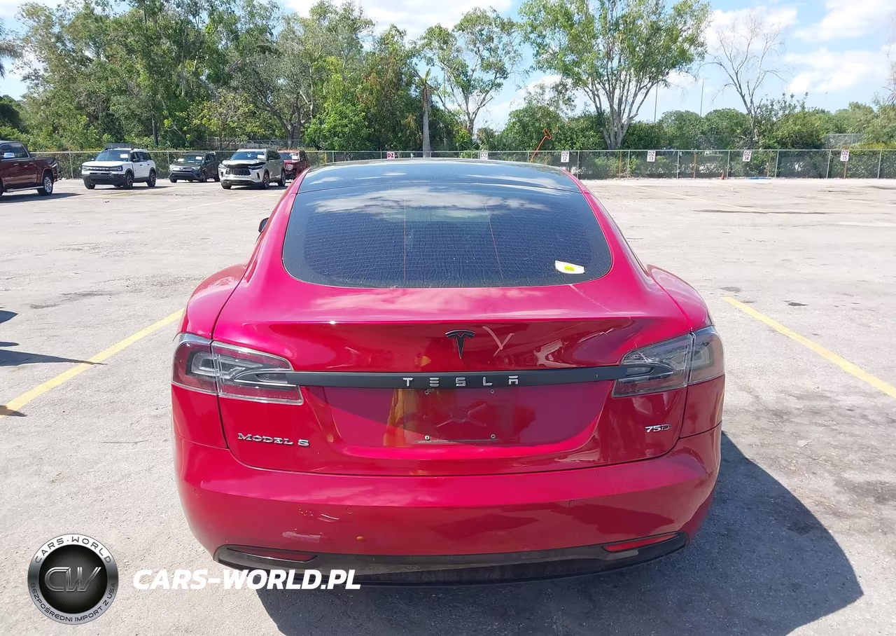 2019 Tesla Model S 100D-75D-Long Range-Standard Range VIN:5YJSA1E29KF303899 - 16