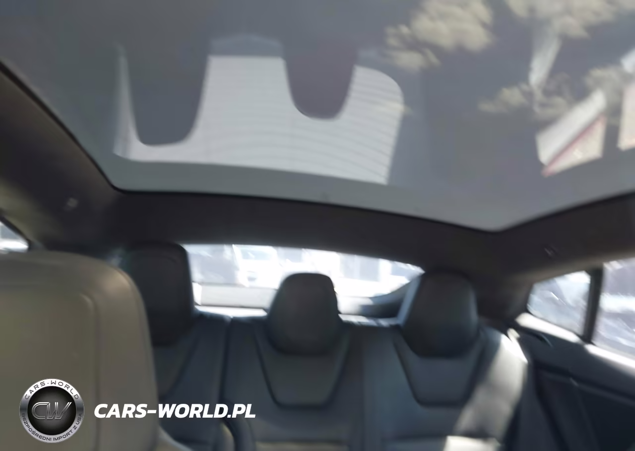 2019 Tesla Model S 100D-75D-Long Range-Standard Range VIN:5YJSA1E29KF303899 - 8