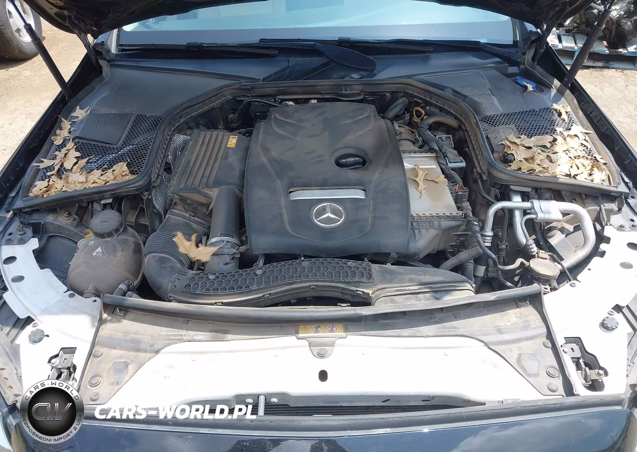 2018 Mercedes-Benz C 300 VIN:55SWF4JB8JU273608 - 10