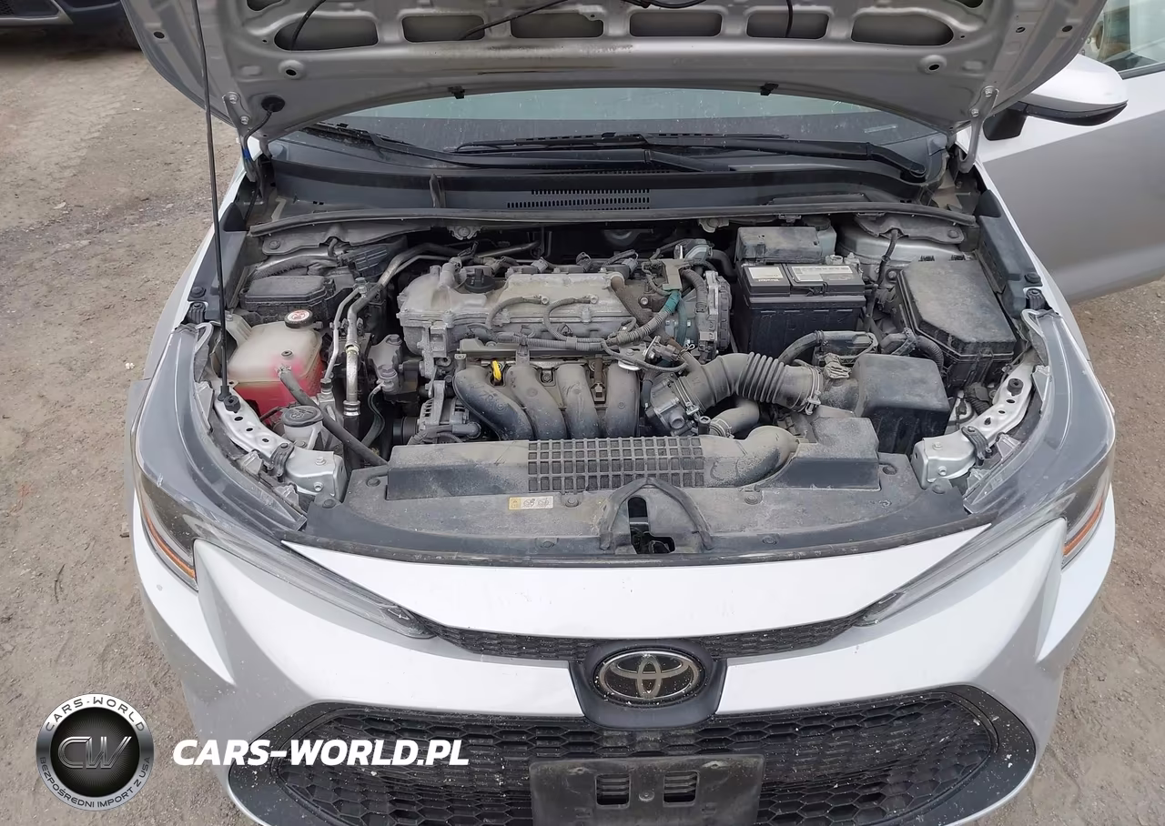 2020 Toyota Corolla Le VIN:5YFEPRAE5LP030301 - 10