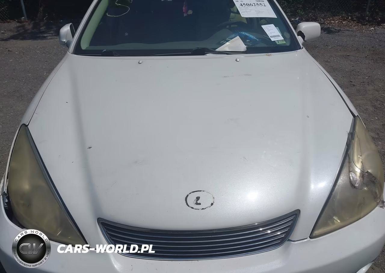 2006 Lexus Es 330 VIN:JTHBA30G765172069 - 10