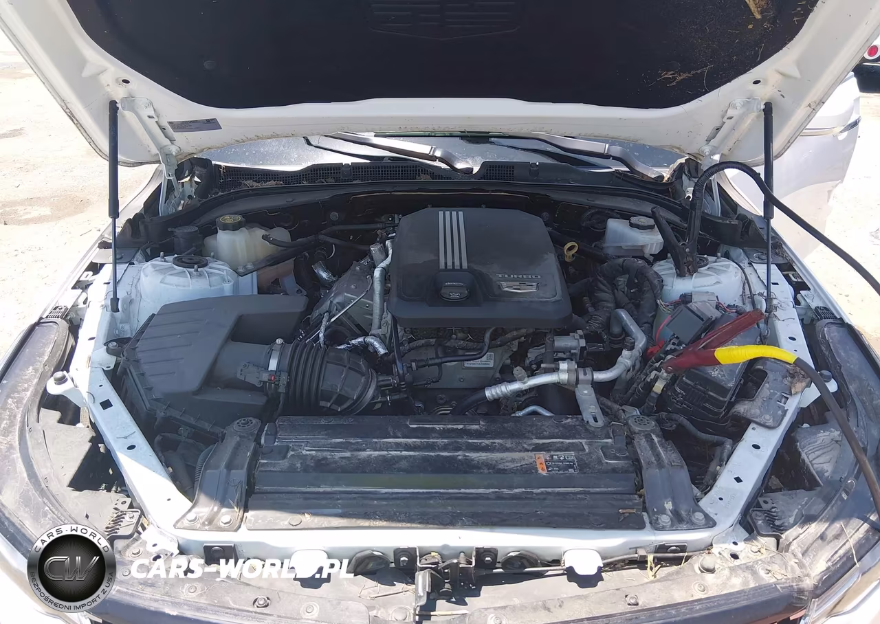 2021 Cadillac Ct4 Premium Luxury VIN:1G6DB5RKXM0145634 - 10