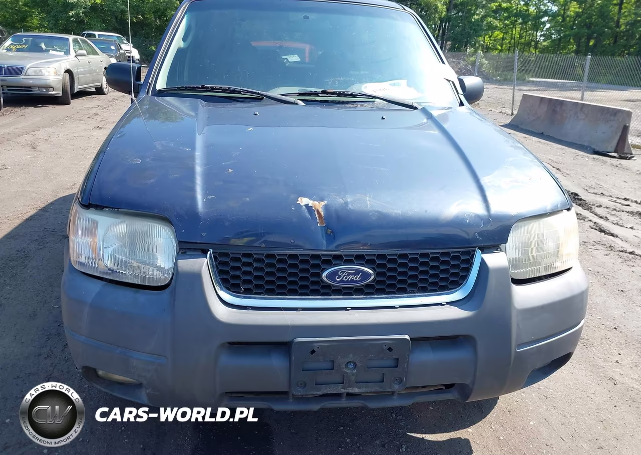 2003 Ford Escape Xlt VIN:1FMYU93123KA52699 - 10