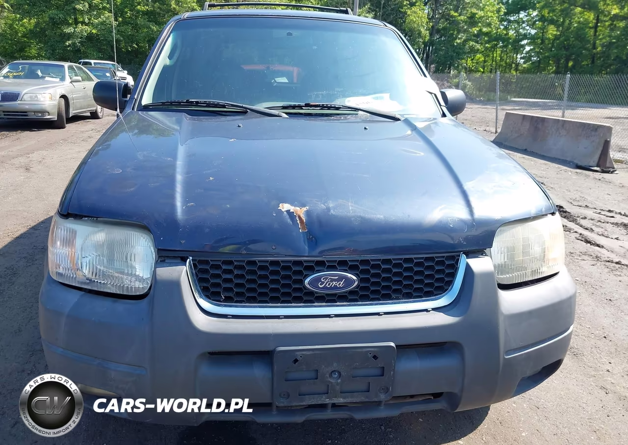 2003 Ford Escape Xlt VIN:1FMYU93123KA52699 - 6