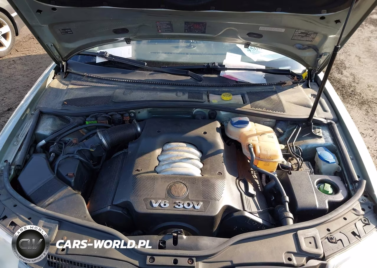 2004 Volkswagen Passat Glx VIN:WVWYH63B14E179234 - 10