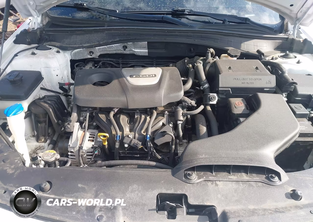 2020 Kia Optima Ex Premium VIN:5XXGU4L17LG444817 - 10