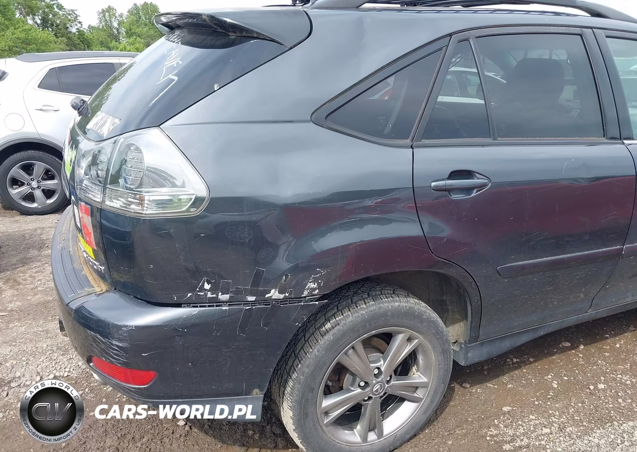 2006 Lexus Rx 400H VIN:JTJHW31U060010585 - 13