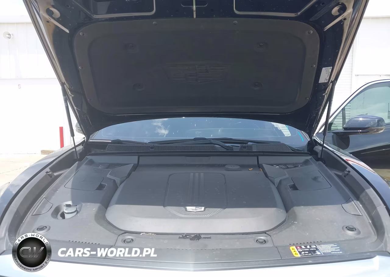 2024 Cadillac Lyriq Tech W-1Sa VIN:1GYKPMRL4RZ104986 - 10
