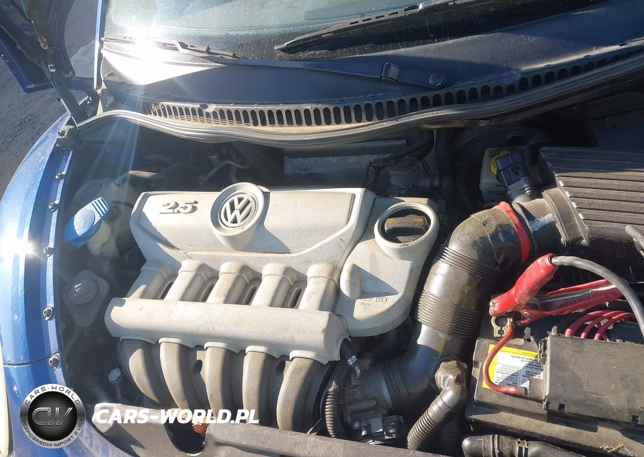 2008 Volkswagen New Beetle S VIN:3VWPF31Y88M402499 - 10