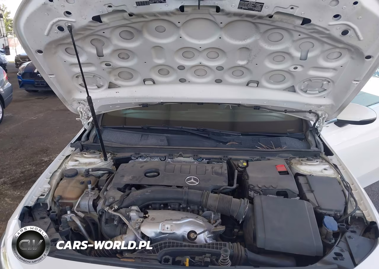 2019 Mercedes-Benz A 220 4Matic VIN:WDD3G4FB4KW026941 - 10