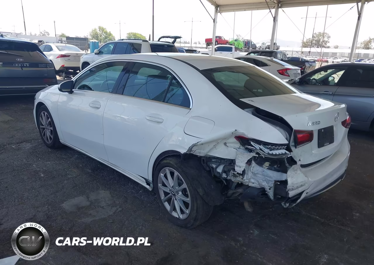2019 Mercedes-Benz A 220 4Matic VIN:WDD3G4FB4KW026941 - 3