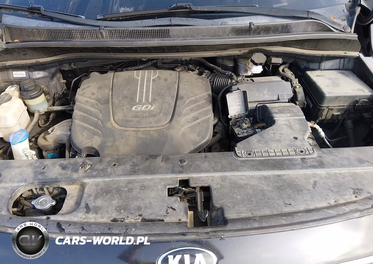 2015 Kia Sedona Lx VIN:KNDMB5C15F6021557 - 10