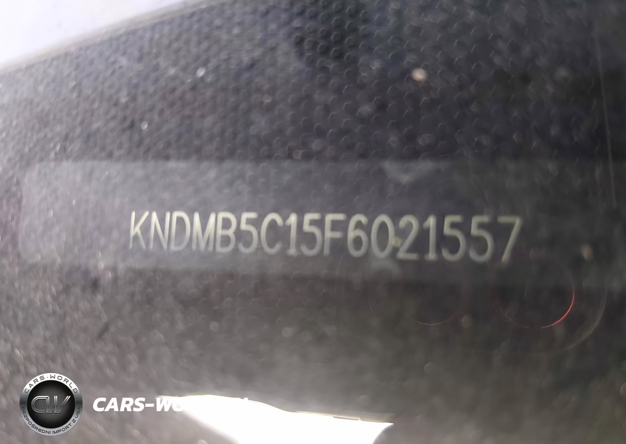 2015 Kia Sedona Lx VIN:KNDMB5C15F6021557 - 9