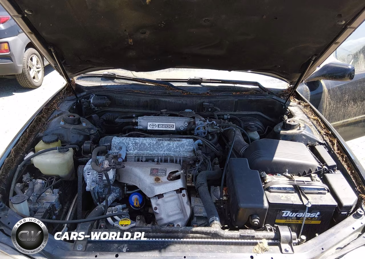 1994 Toyota Camry Xle VIN:JT2SK13E7R0254116 - 10