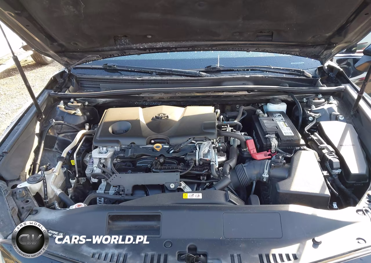 2019 Toyota Camry Xse VIN:4T1B61HK6KU825549 - 10