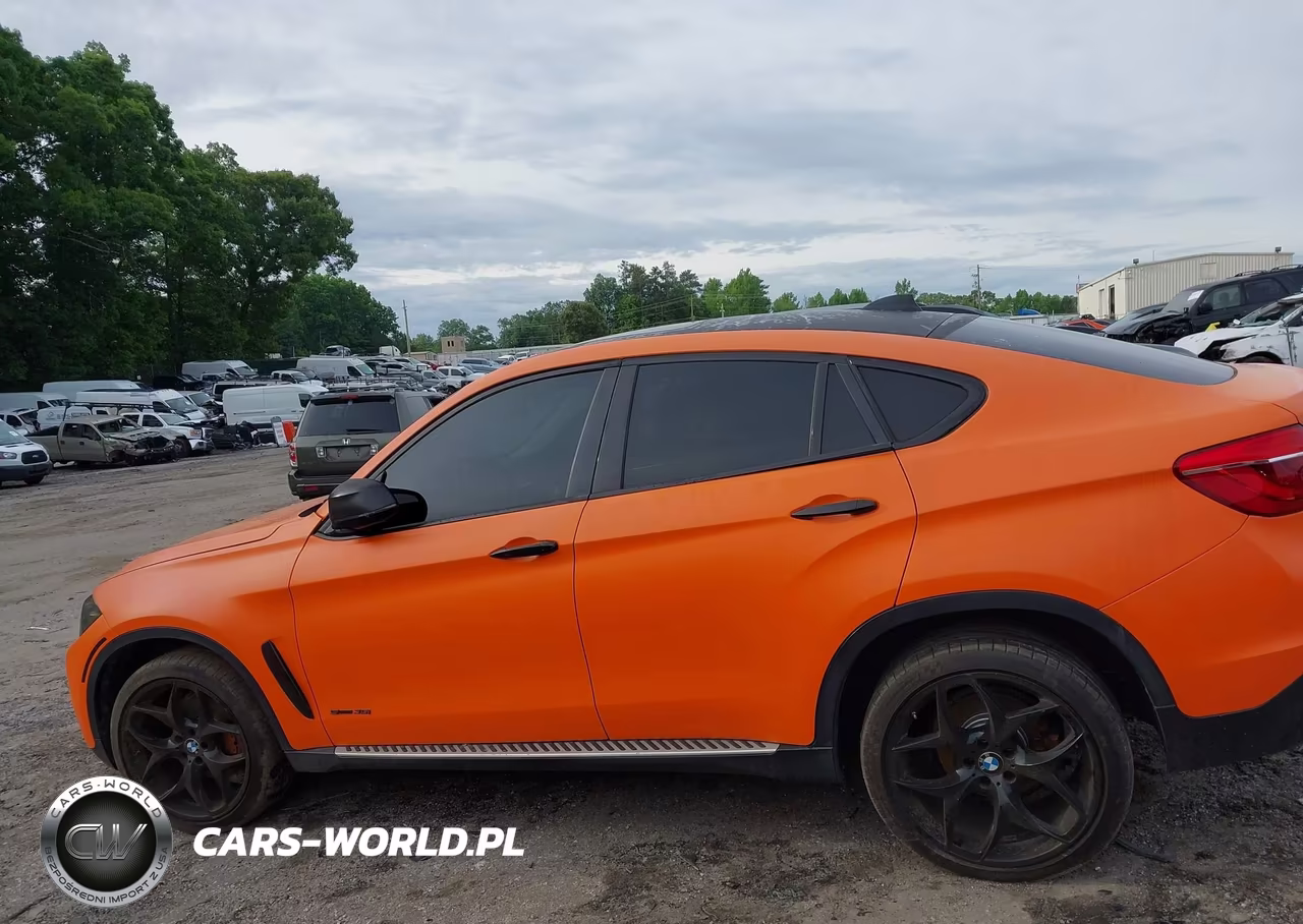 2016 BMW X6 Sdrive35I VIN:5UXKU0C50G0F92421 - 13