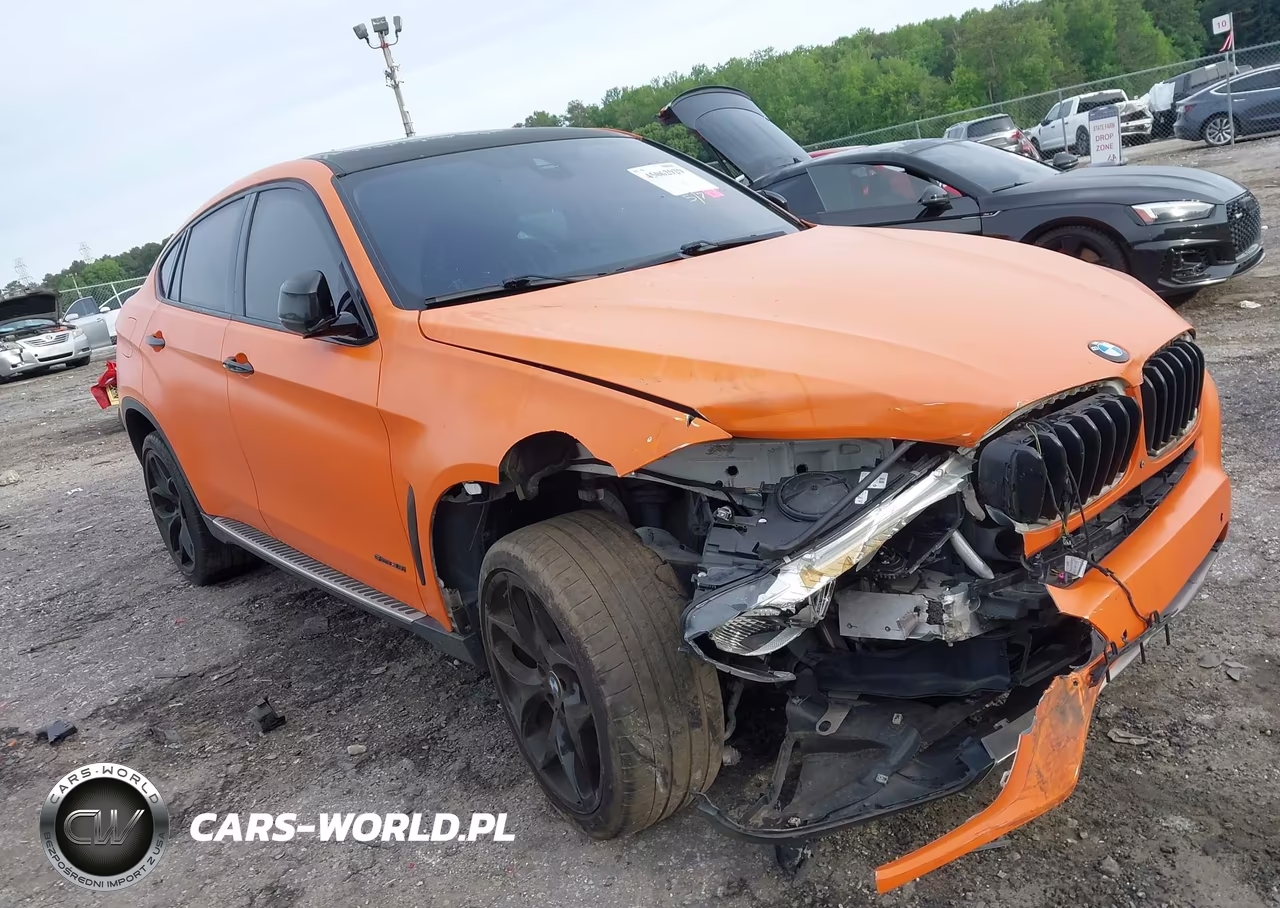2016 BMW X6 Sdrive35I VIN:5UXKU0C50G0F92421 - 6