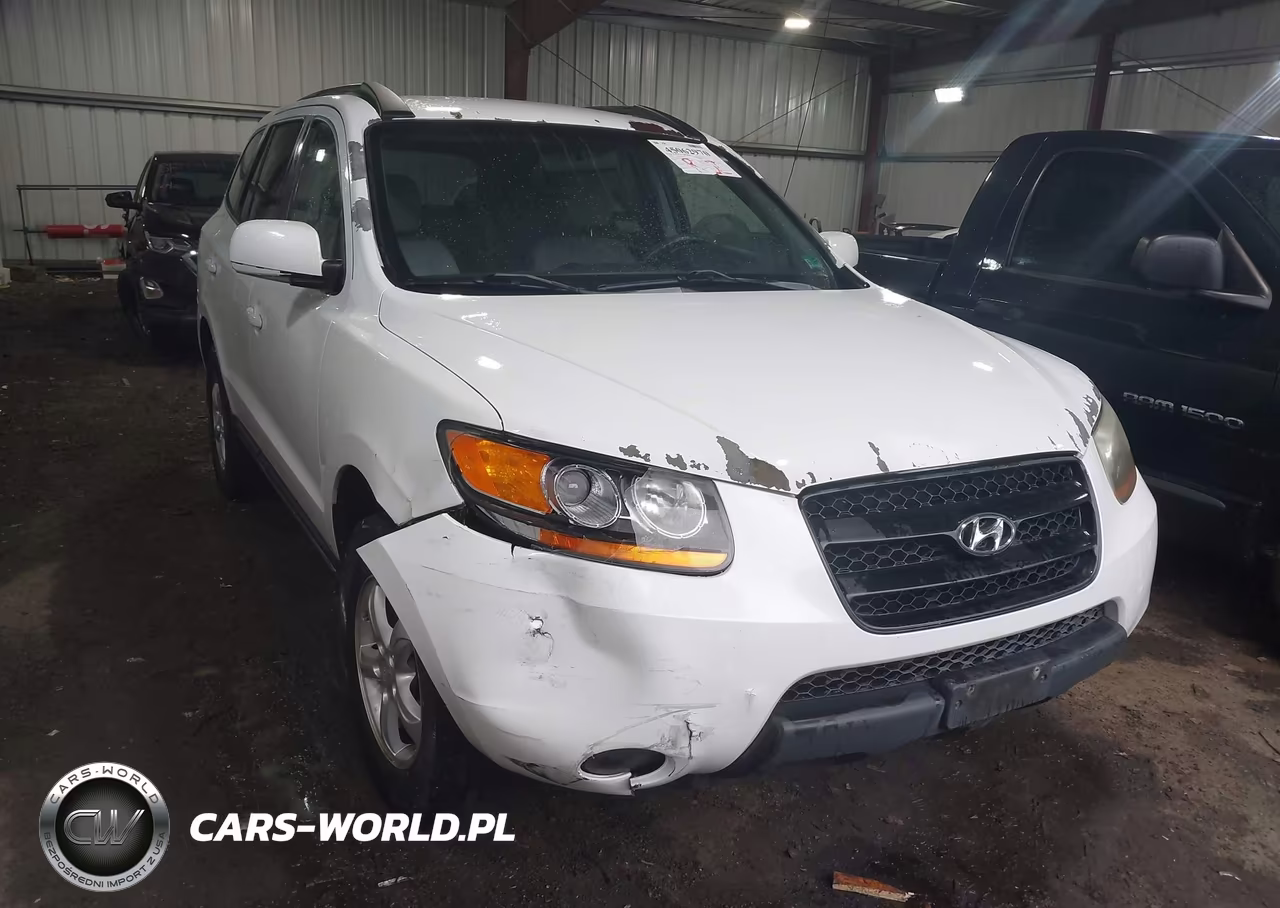 2008 Hyundai Santa Fe Gls VIN:5NMSG13D78H228954 - 6