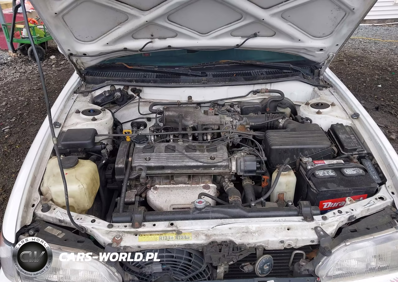 1996 Toyota Corolla Dx VIN:1NXBB02E8TZ397302 - 10