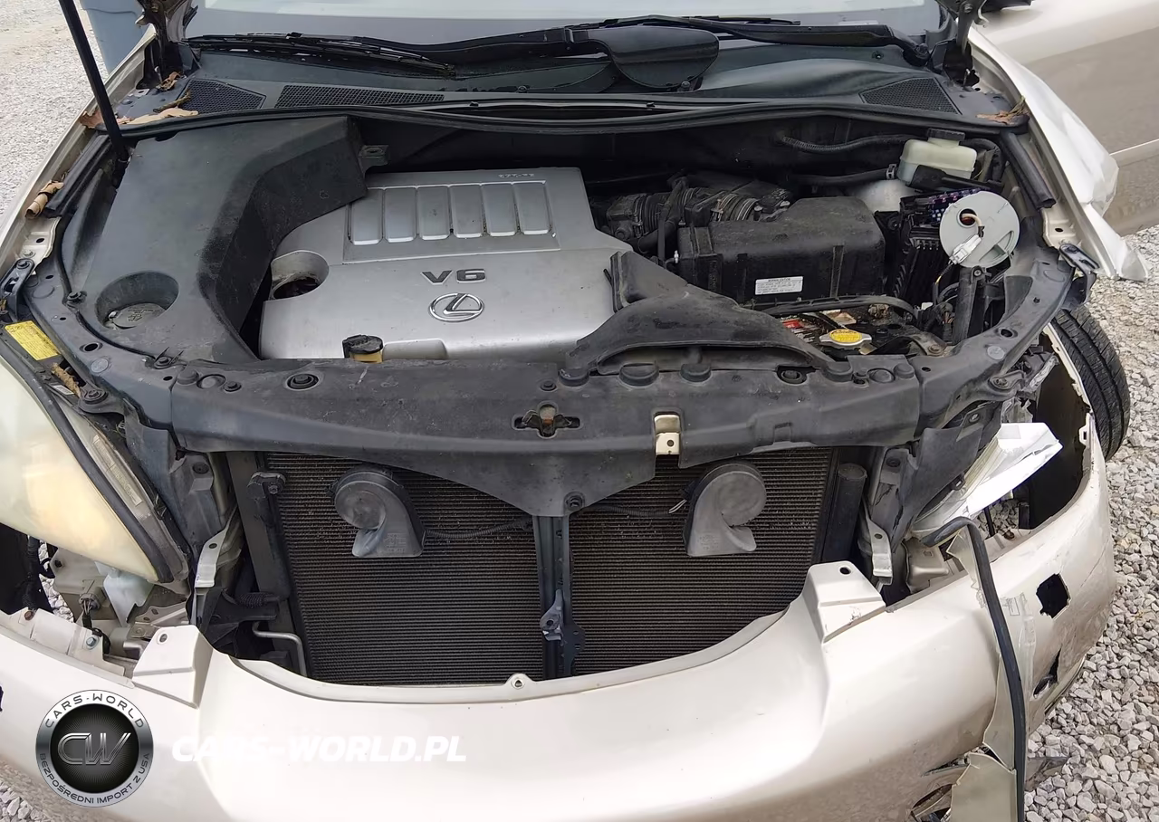 2007 Lexus Rx 350 VIN:2T2HK31U27C031892 - 10