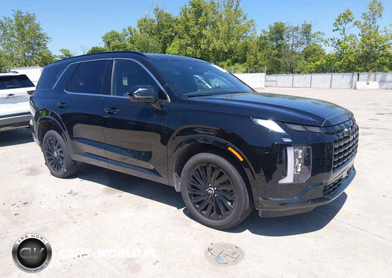 2025 Hyundai Palisade Calligraphy Night Edition – zdjęcie 1 z 16