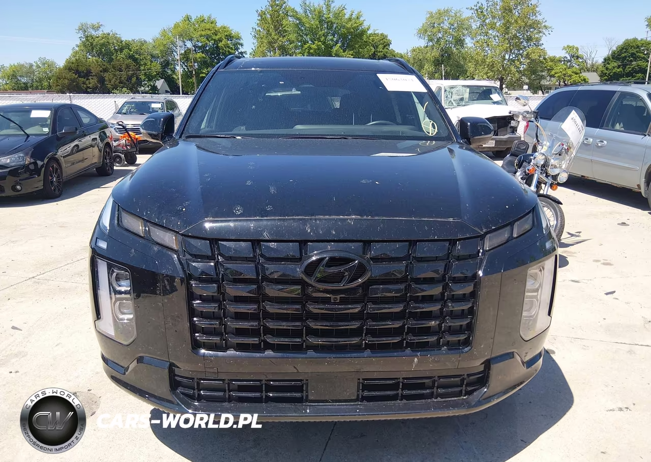 2025 Hyundai Palisade Calligraphy Night Edition VIN:KM8R7DGE3SU815764 - 12