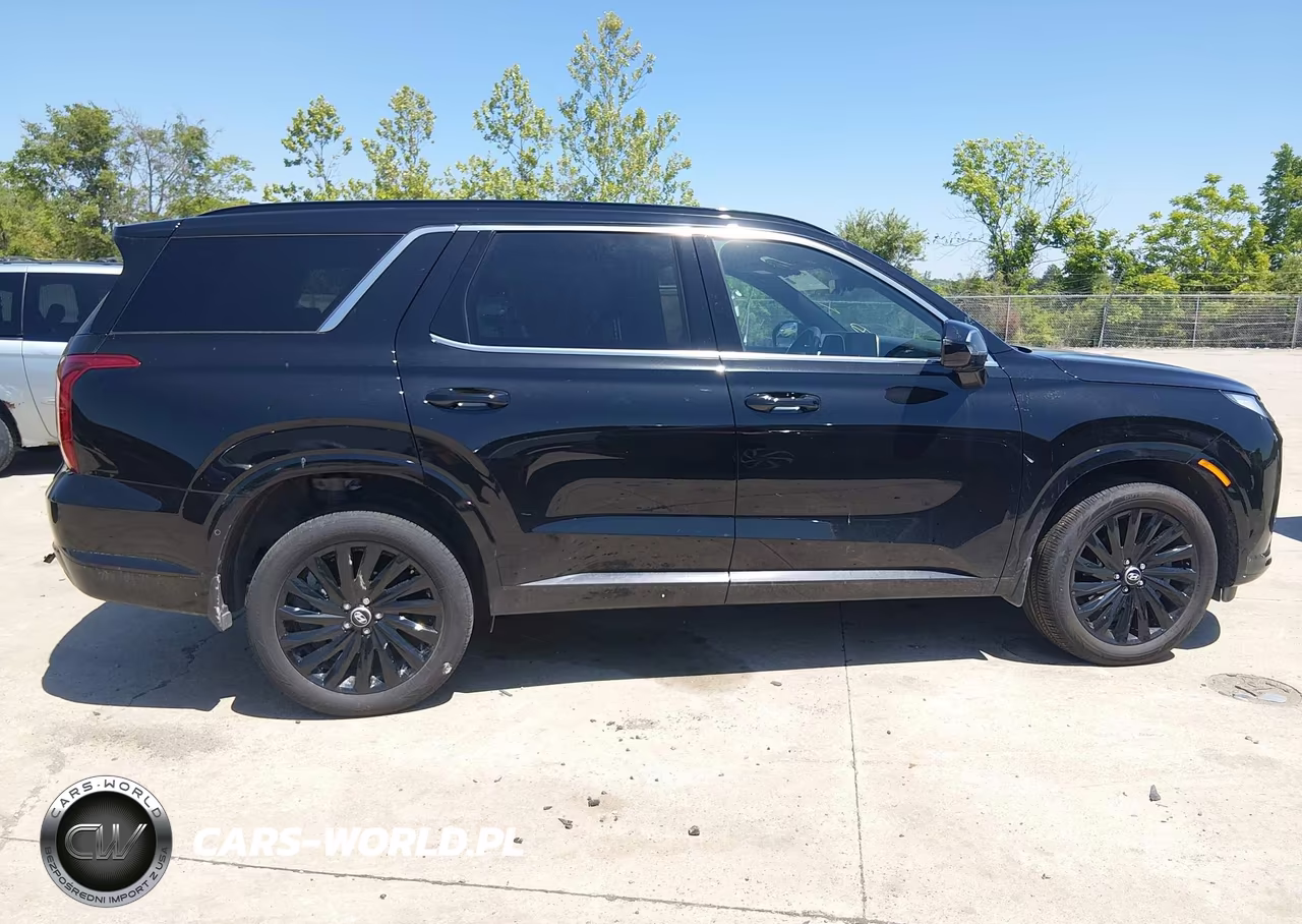 2025 Hyundai Palisade Calligraphy Night Edition VIN:KM8R7DGE3SU815764 - 13