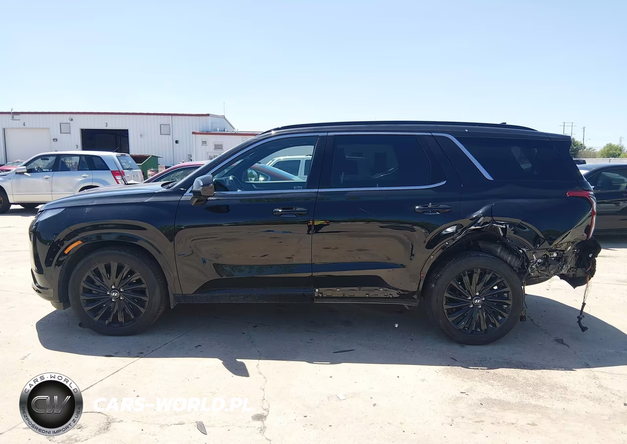 2025 Hyundai Palisade Calligraphy Night Edition VIN:KM8R7DGE3SU815764 - 14