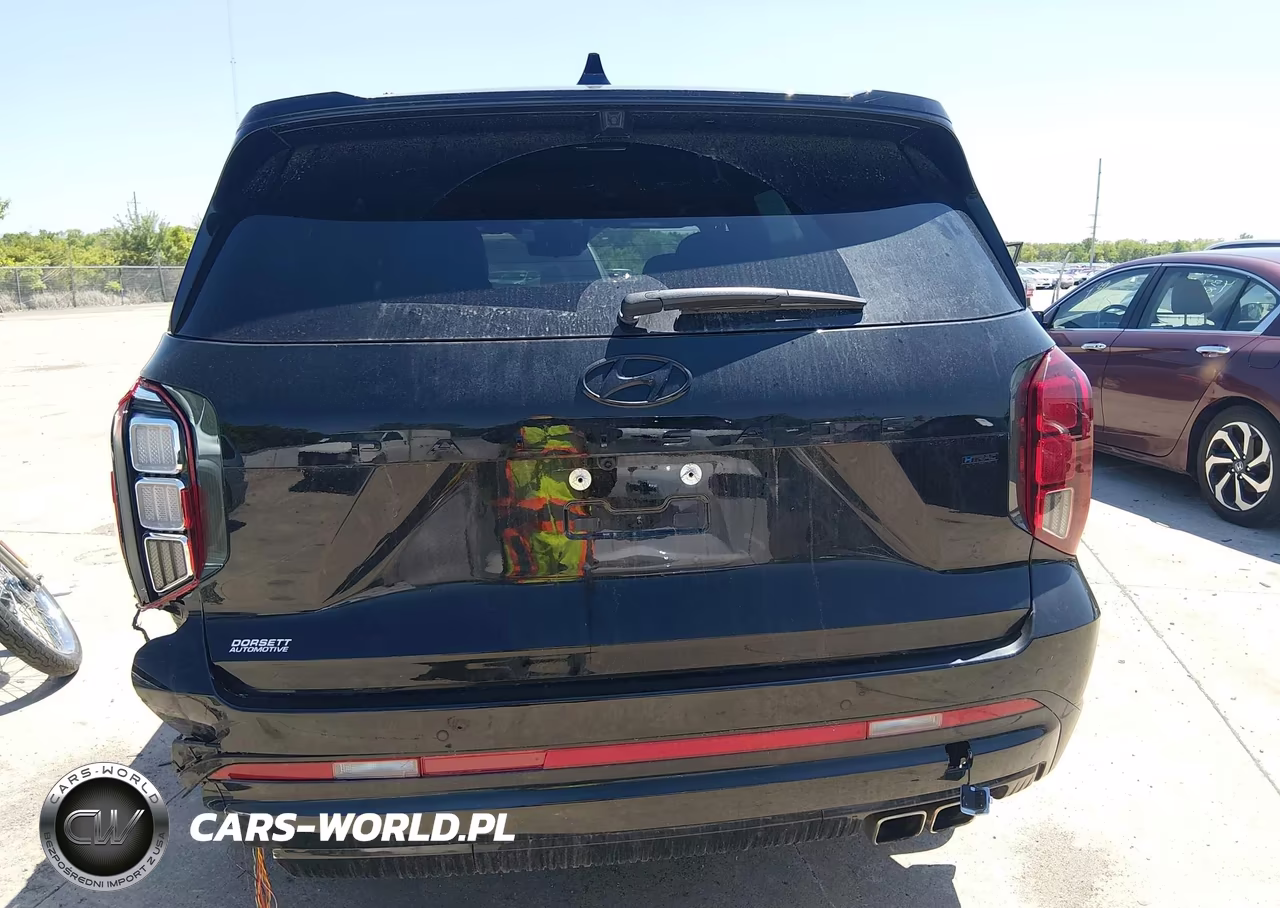 2025 Hyundai Palisade Calligraphy Night Edition VIN:KM8R7DGE3SU815764 - 16
