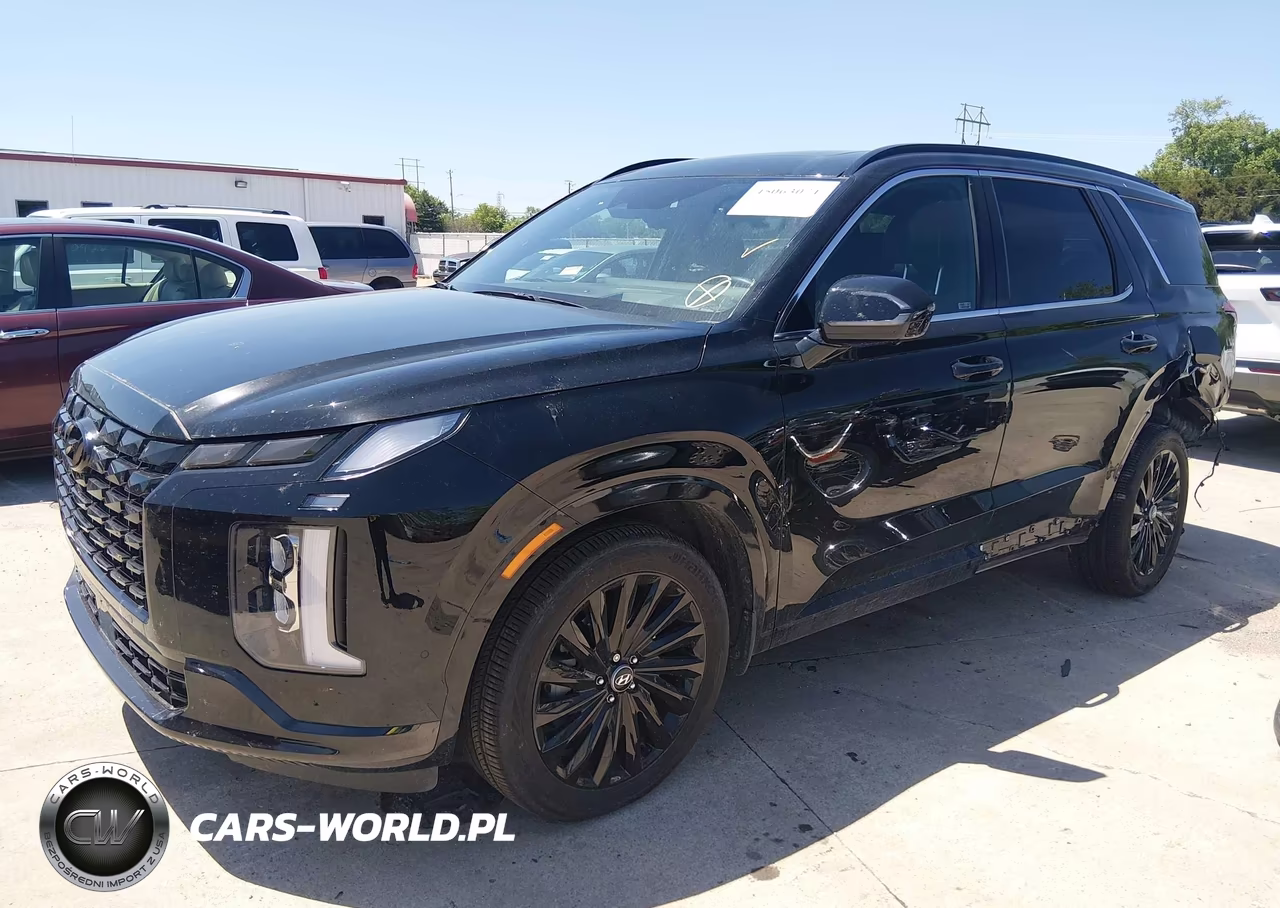 2025 Hyundai Palisade Calligraphy Night Edition VIN:KM8R7DGE3SU815764 - 2