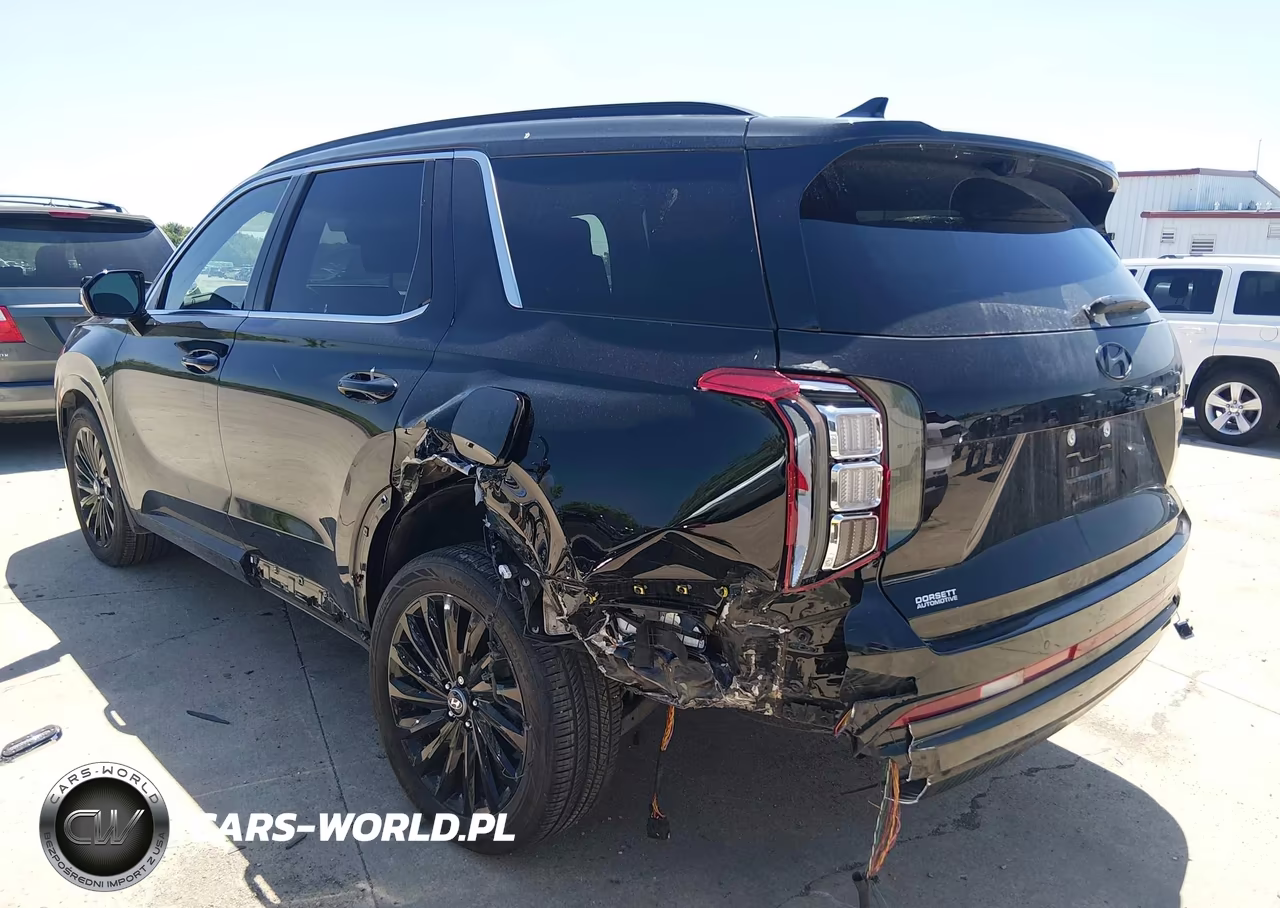 2025 Hyundai Palisade Calligraphy Night Edition VIN:KM8R7DGE3SU815764 - 3