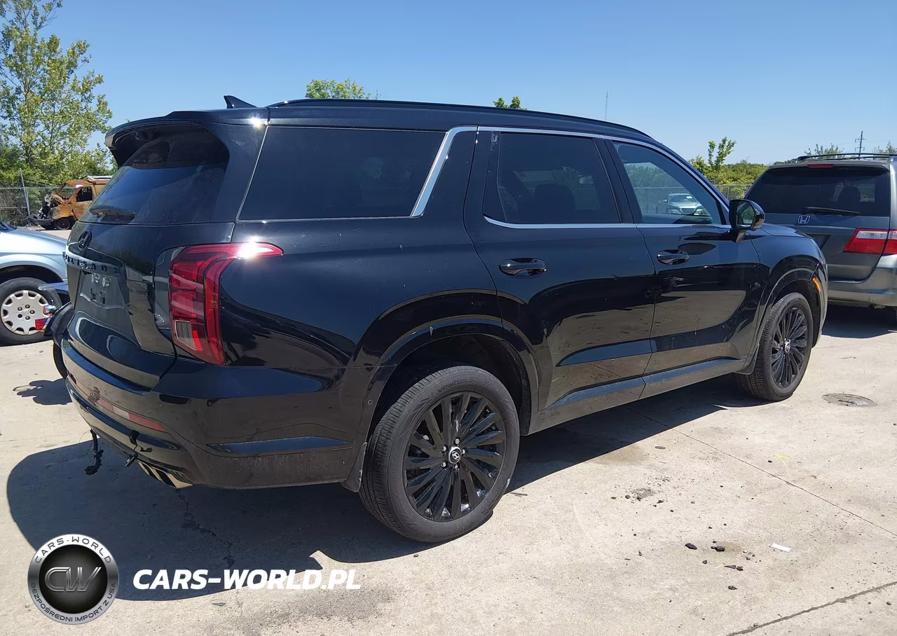2025 Hyundai Palisade Calligraphy Night Edition VIN:KM8R7DGE3SU815764 - 4