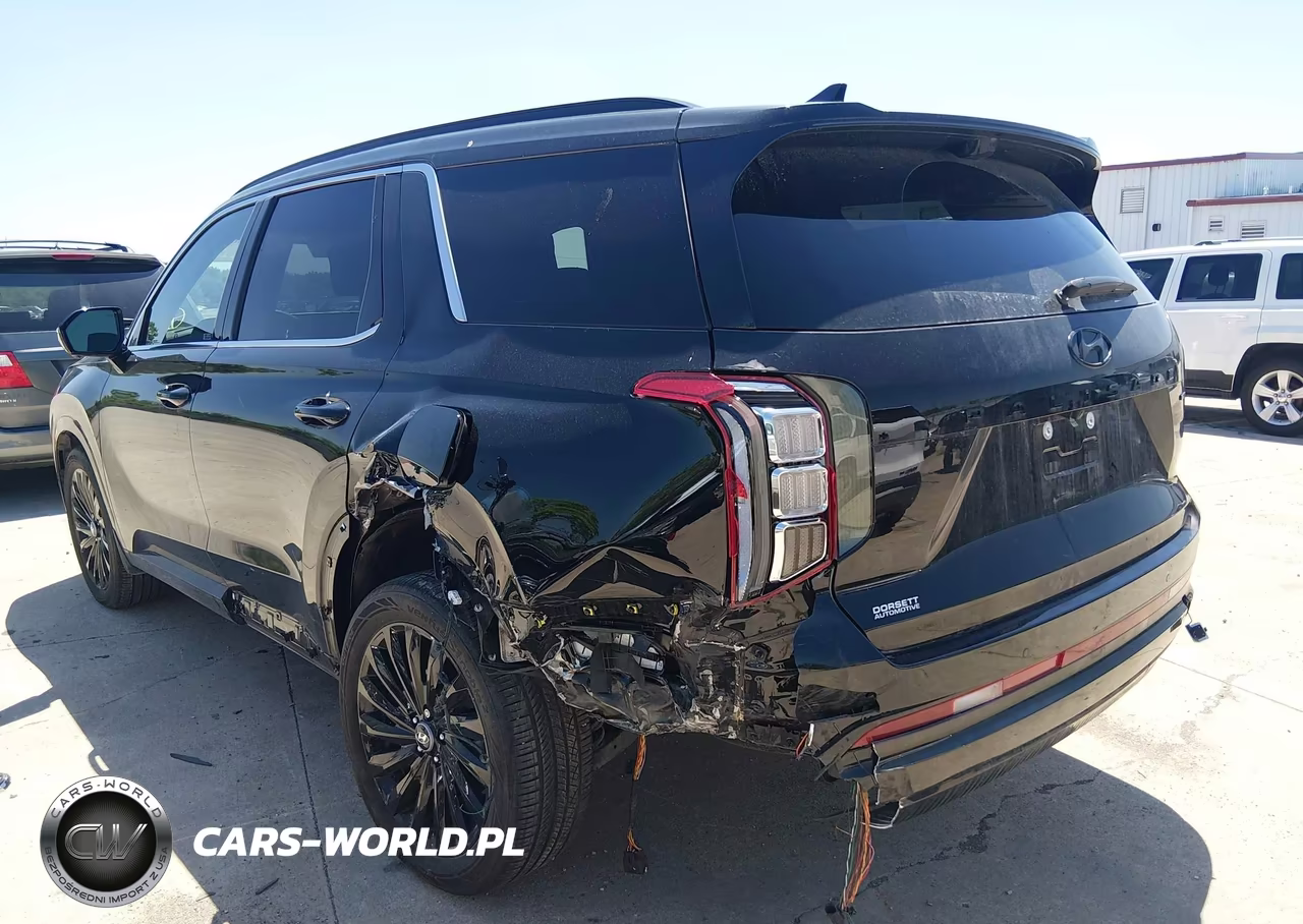 2025 Hyundai Palisade Calligraphy Night Edition VIN:KM8R7DGE3SU815764 - 6