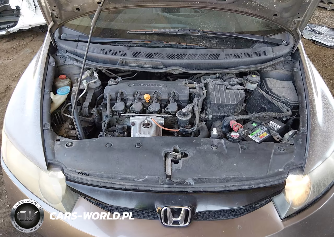 2010 Honda Civic Lx VIN:2HGFA1F54AH566239 - 10