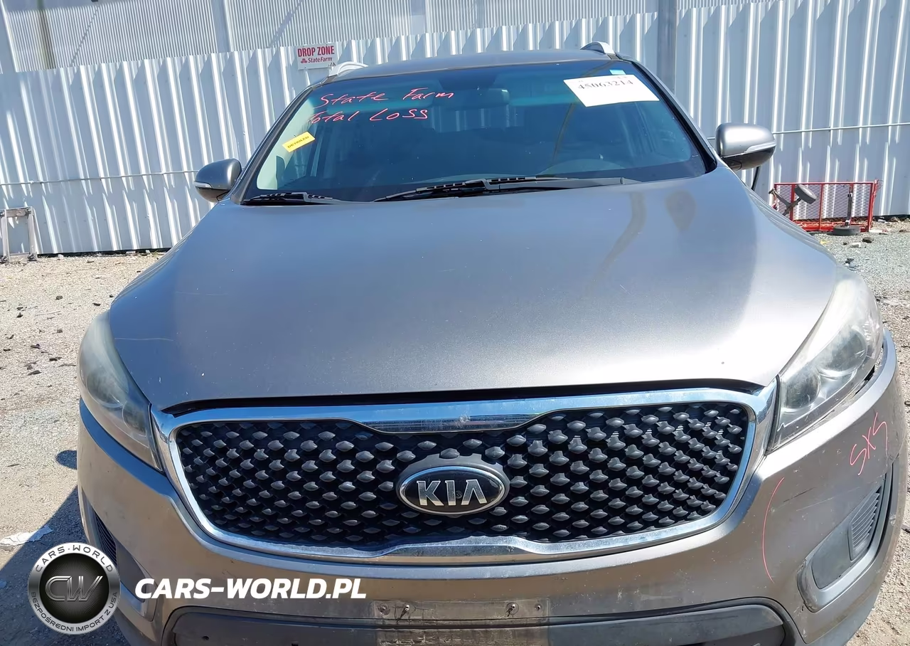 2017 Kia Sorento 3.3L Lx VIN:5XYPG4A58HG194813 - 13