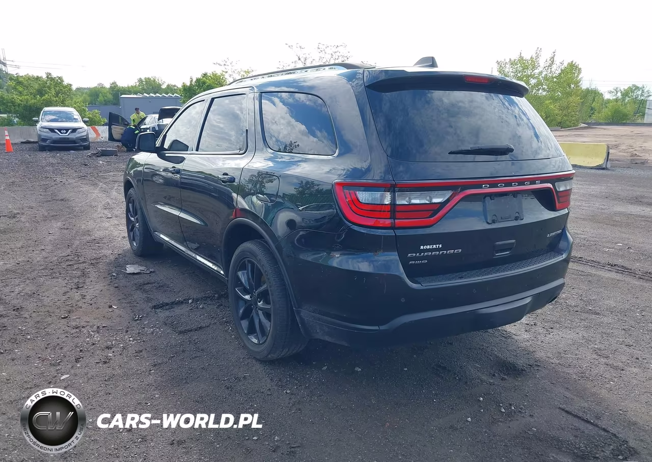 2014 Dodge Durango Limited VIN:1C4RDJDG3EC326860 - 3