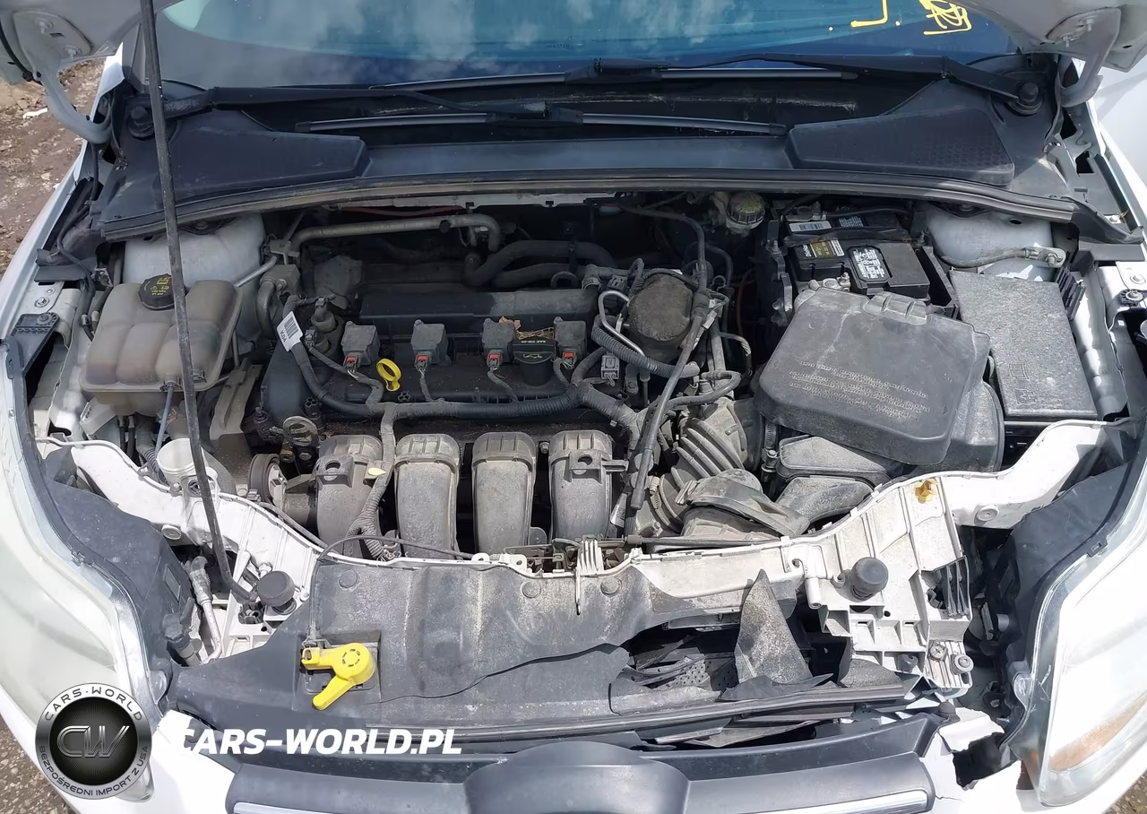 2014 Ford Focus Se VIN:1FADP3K23EL281462 - 10