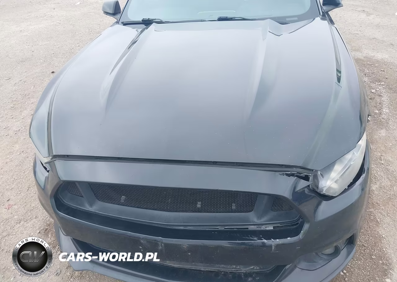 2016 Ford Mustang Ecoboost VIN:1FA6P8TH3G5256772 - 10