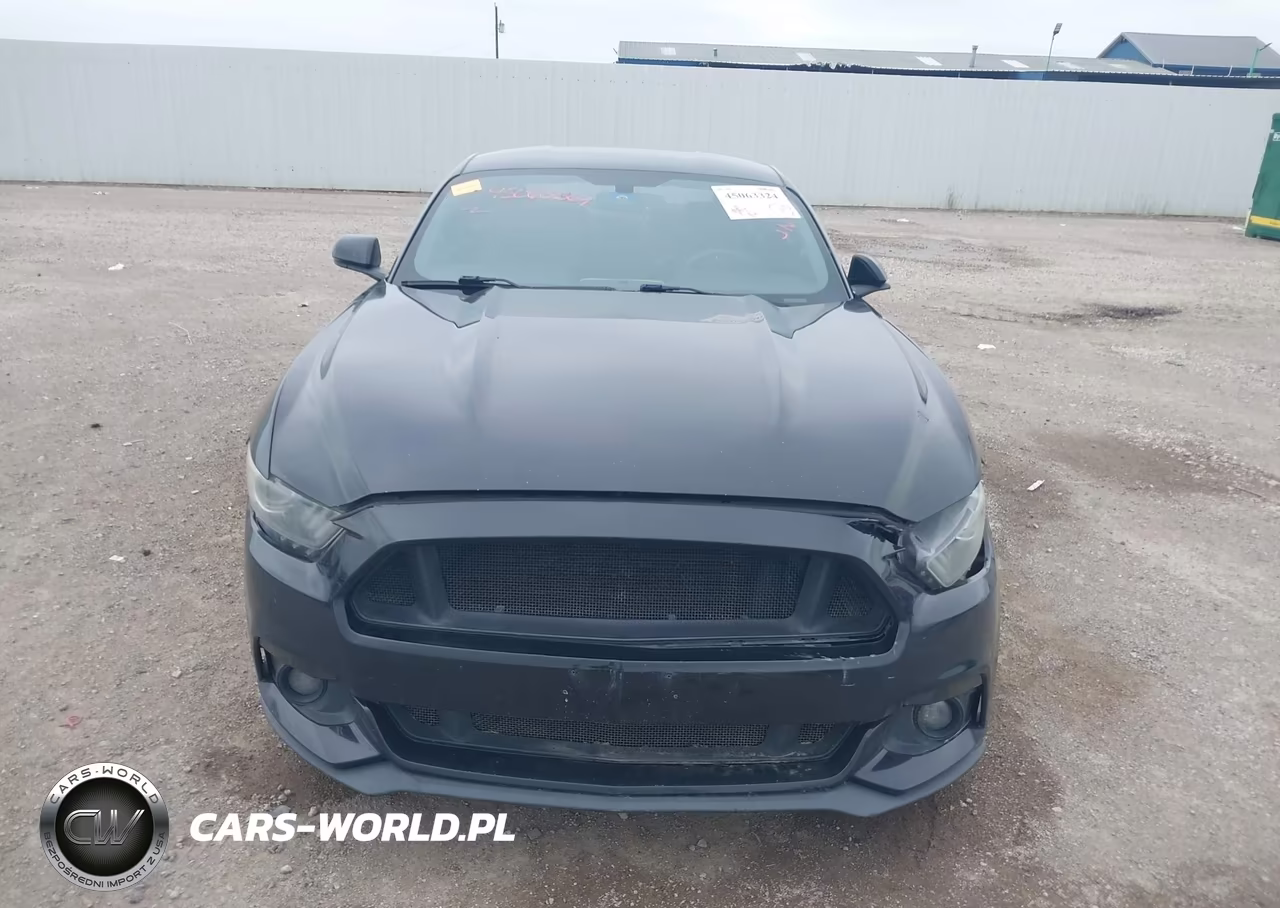 2016 Ford Mustang Ecoboost VIN:1FA6P8TH3G5256772 - 12