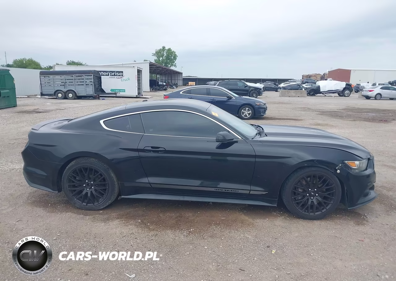 2016 Ford Mustang Ecoboost VIN:1FA6P8TH3G5256772 - 13