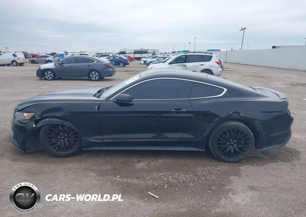2016 Ford Mustang Ecoboost VIN:1FA6P8TH3G5256772 - 14