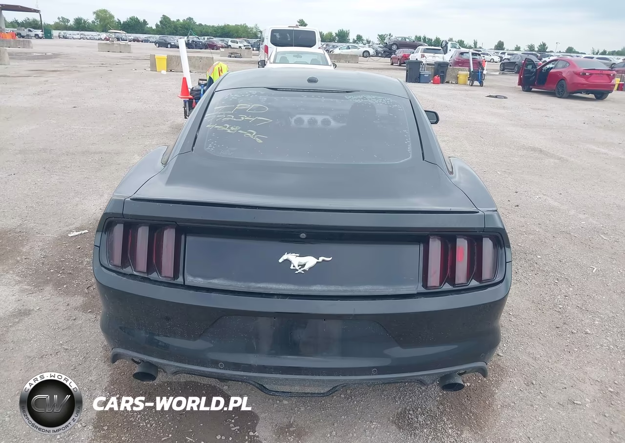 2016 Ford Mustang Ecoboost VIN:1FA6P8TH3G5256772 - 16