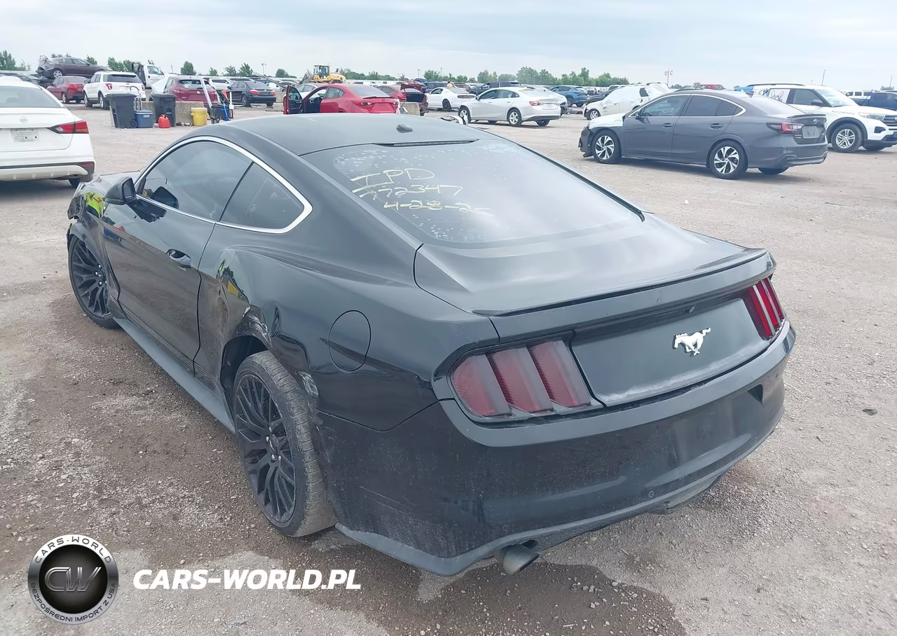 2016 Ford Mustang Ecoboost VIN:1FA6P8TH3G5256772 - 3