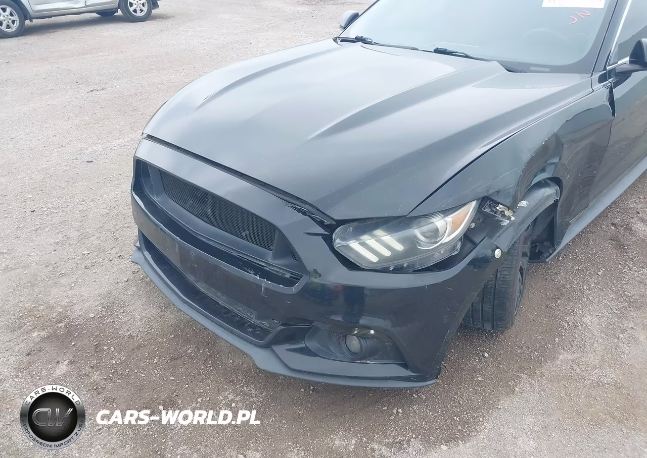 2016 Ford Mustang Ecoboost VIN:1FA6P8TH3G5256772 - 6