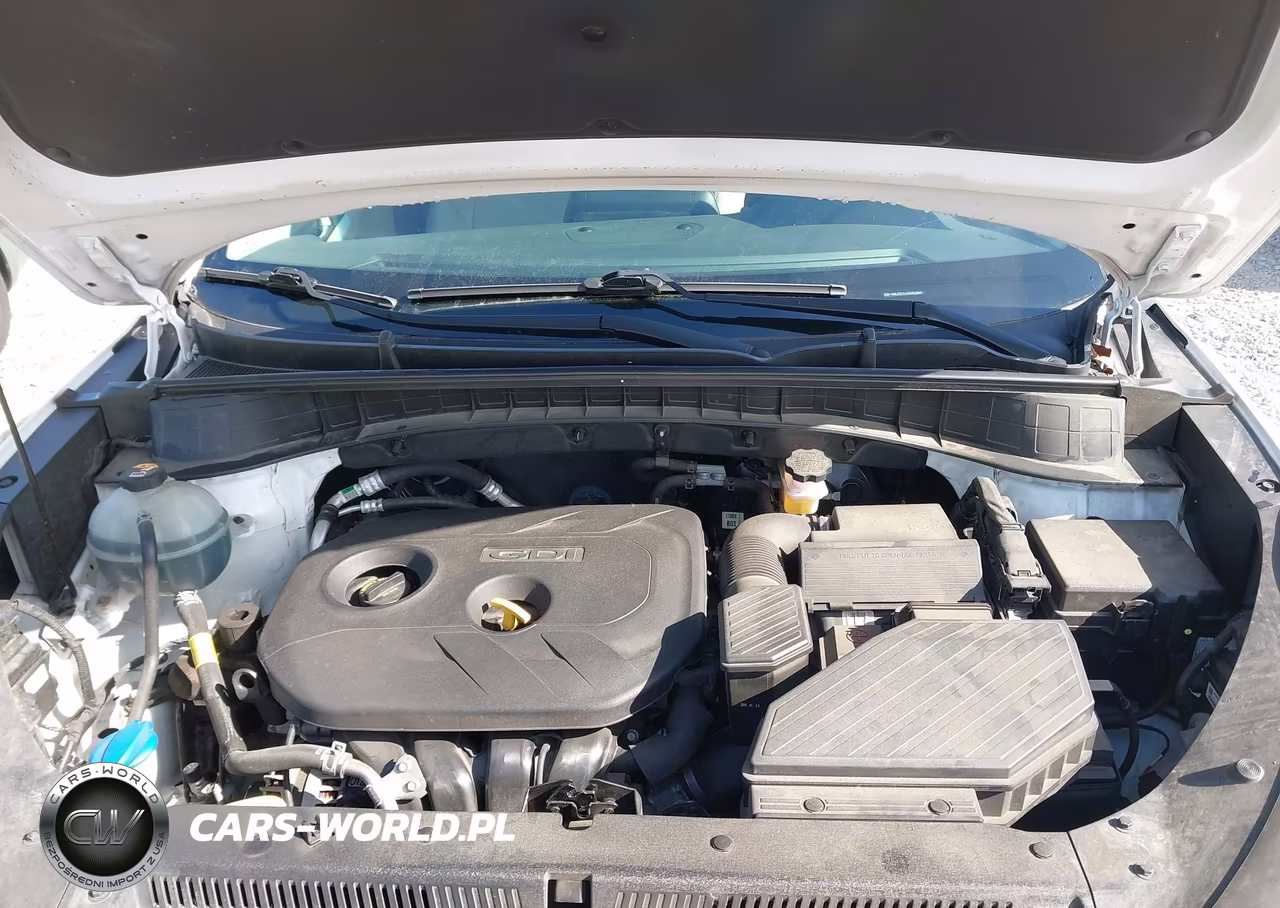 2019 Hyundai Tucson Se VIN:KM8J2CA41KU029659 - 10